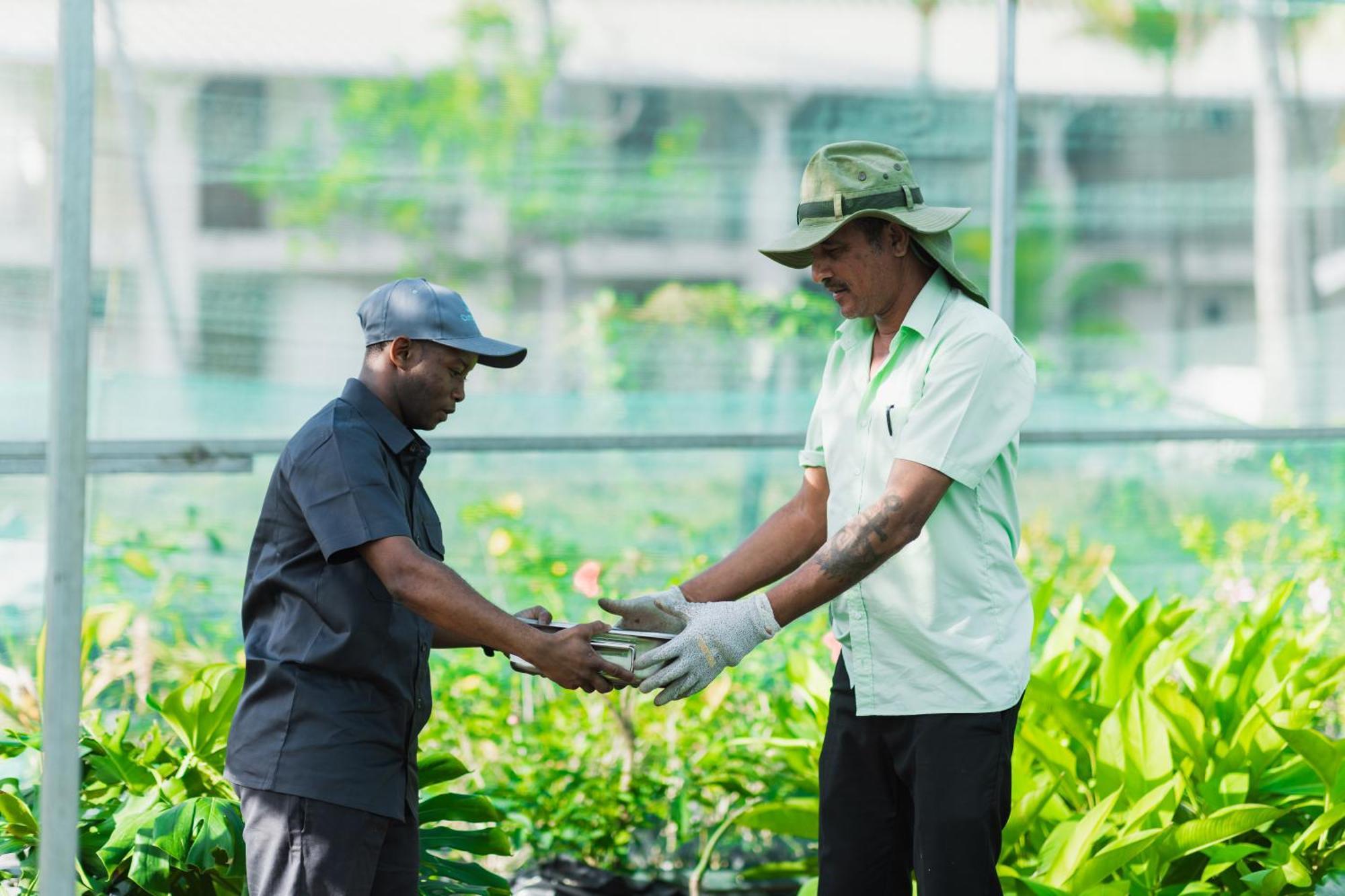 Cotton Bay Resort & Spa Trefles Ngoại thất bức ảnh